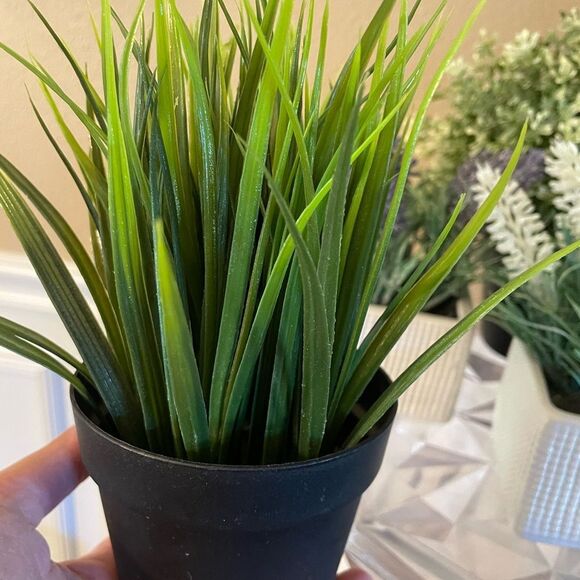 Faux Plants Lot of 5 Lavender in Ceramic Square Pots - Picture 2 of 11